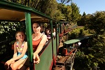 On the Driving Creek Railway
